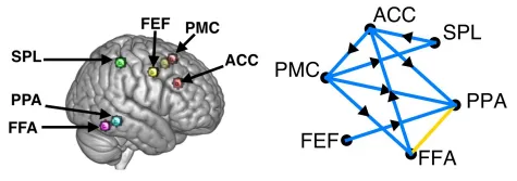 Computational Network Models.PNG