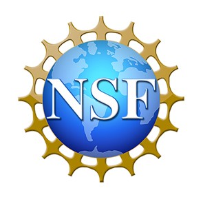 NSF Logo2